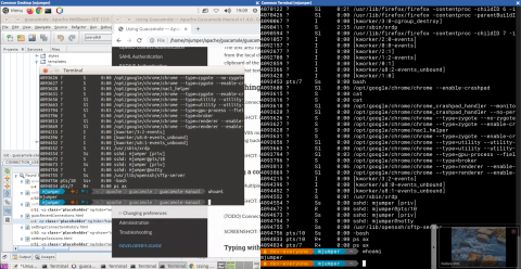 Apache Guacamole Screenshot